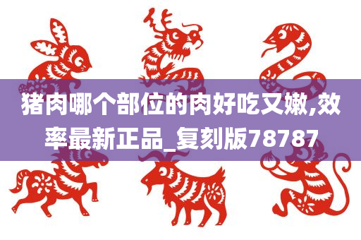 猪肉哪个部位的肉好吃又嫩,效率最新正品_复刻版78787