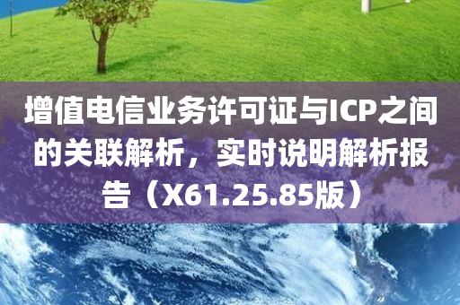 增值电信业务许可证与ICP之间的关联解析，实时说明解析报告（X61.25.85版）