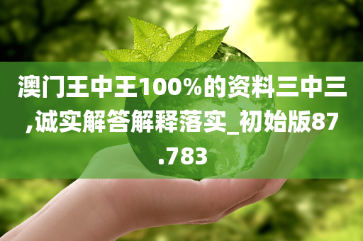 澳门王中王100%的资料三中三,诚实解答解释落实_初始版87.783