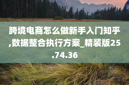 跨境电商怎么做新手入门知乎,数据整合执行方案_精装版25.74.36