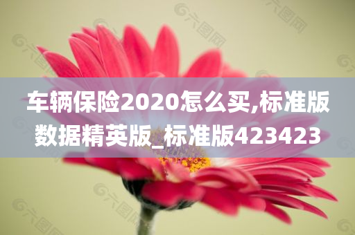 车辆保险2020怎么买,标准版数据精英版_标准版423423