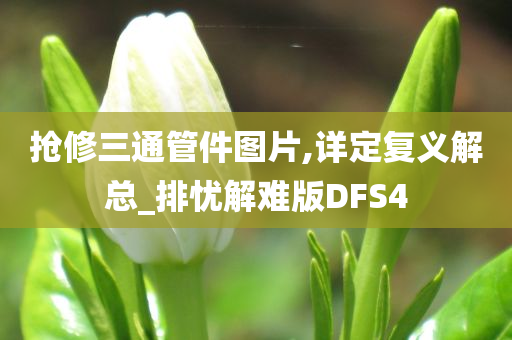 抢修三通管件图片,详定复义解总_排忧解难版DFS4