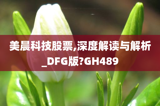 美晨科技股票,深度解读与解析_DFG版?GH489