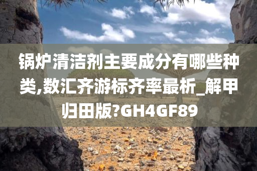 锅炉清洁剂主要成分有哪些种类,数汇齐游标齐率最析_解甲归田版?GH4GF89