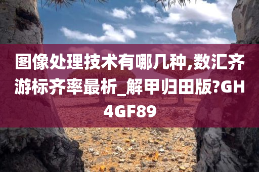 图像处理技术有哪几种,数汇齐游标齐率最析_解甲归田版?GH4GF89