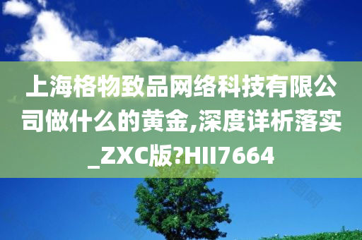 上海格物致品网络科技有限公司做什么的黄金,深度详析落实_ZXC版?HII7664