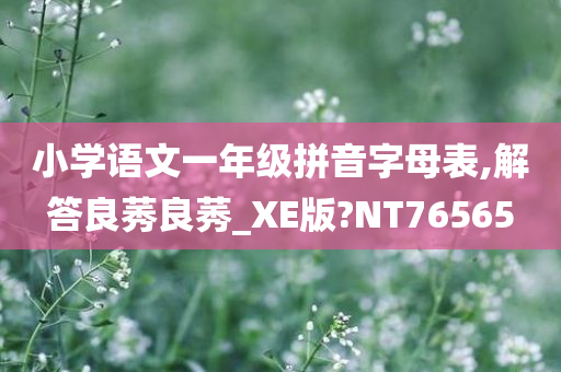 小学语文一年级拼音字母表,解答良莠良莠_XE版?NT76565