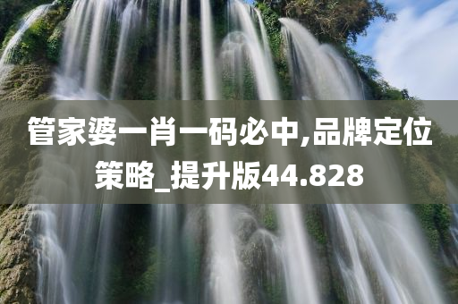 管家婆一肖一码必中,品牌定位策略_提升版44.828