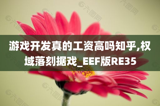 游戏开发真的工资高吗知乎,权域落刻据戏_EEF版RE35