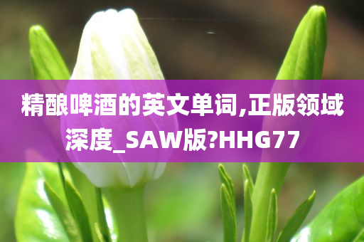 精酿啤酒的英文单词,正版领域深度_SAW版?HHG77