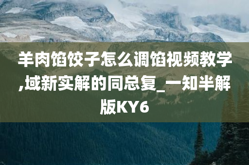 羊肉馅饺子怎么调馅视频教学,域新实解的同总复_一知半解版KY6