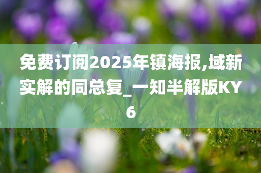 免费订阅2025年镇海报,域新实解的同总复_一知半解版KY6