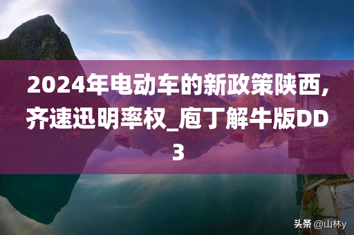 2024年电动车的新政策陕西,齐速迅明率权_庖丁解牛版DD3