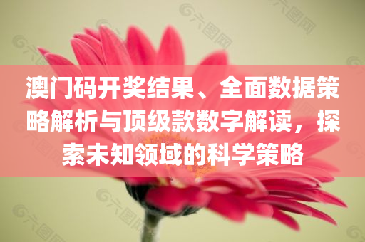 澳门码开奖结果、全面数据策略解析与顶级款数字解读，探索未知领域的科学策略