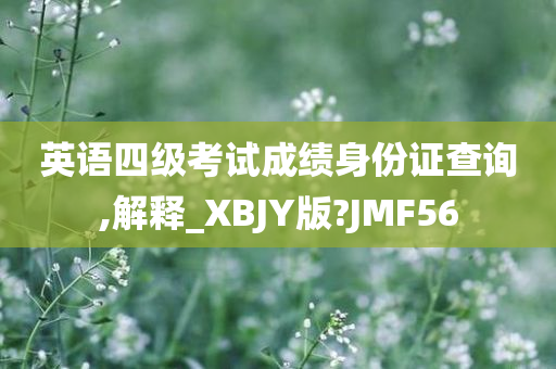 英语四级考试成绩身份证查询,解释_XBJY版?JMF56