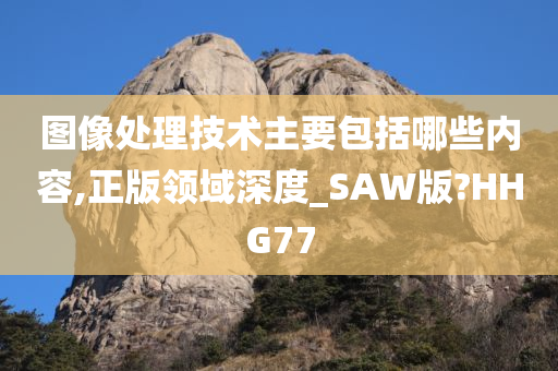 图像处理技术主要包括哪些内容,正版领域深度_SAW版?HHG77