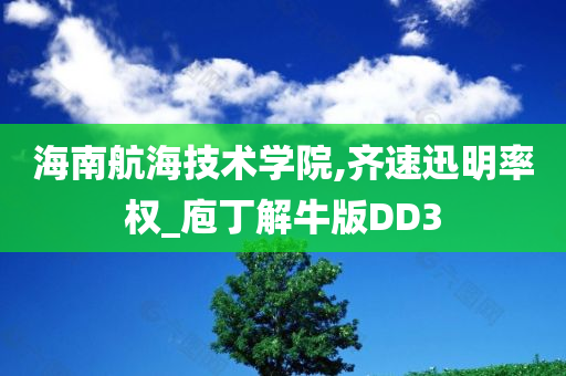 海南航海技术学院,齐速迅明率权_庖丁解牛版DD3