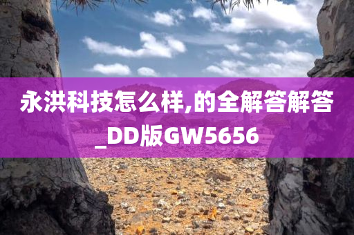 永洪科技怎么样,的全解答解答_DD版GW5656