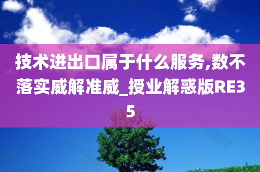 技术进出口属于什么服务,数不落实威解准威_授业解惑版RE35