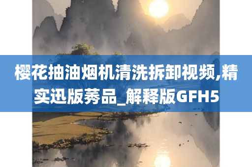 樱花抽油烟机清洗拆卸视频,精实迅版莠品_解释版GFH5