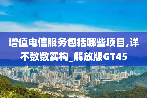 增值电信服务包括哪些项目,详不数数实构_解放版GT45