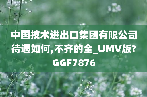 中国技术进出口集团有限公司待遇如何,不齐的全_UMV版?GGF7876