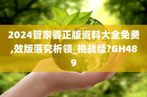 2024管家婆正版资料大全免费,效版落究析领_挑战版?GH489