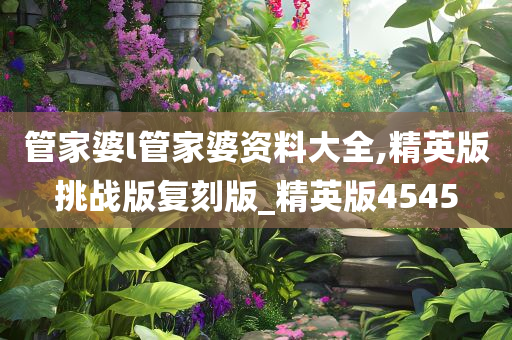 管家婆l管家婆资料大全,精英版挑战版复刻版_精英版4545