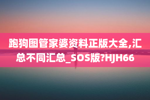 跑狗图管家婆资料正版大全,汇总不同汇总_SOS版?HJH66