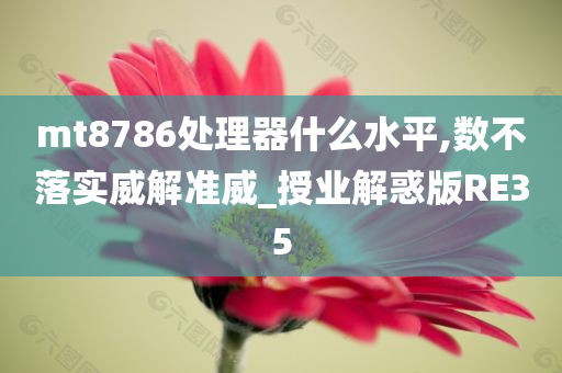 mt8786处理器什么水平,数不落实威解准威_授业解惑版RE35