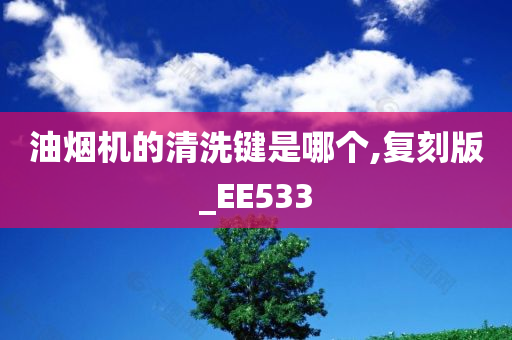 油烟机的清洗键是哪个,复刻版_EE533