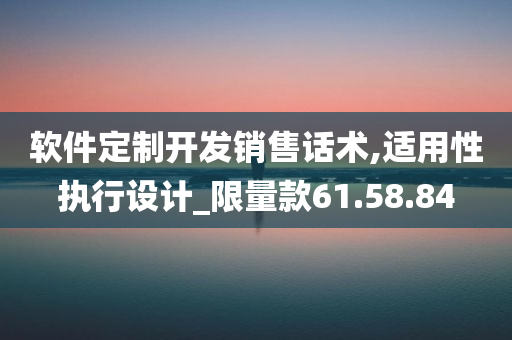 软件定制开发销售话术,适用性执行设计_限量款61.58.84