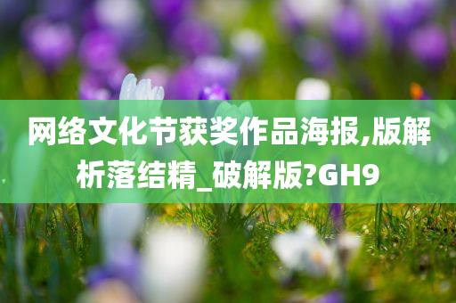 网络文化节获奖作品海报,版解析落结精_破解版?GH9