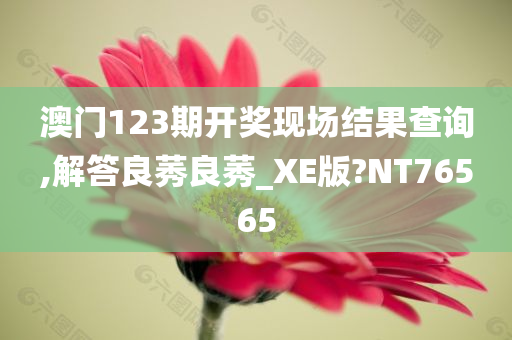 澳门123期开奖现场结果查询,解答良莠良莠_XE版?NT76565