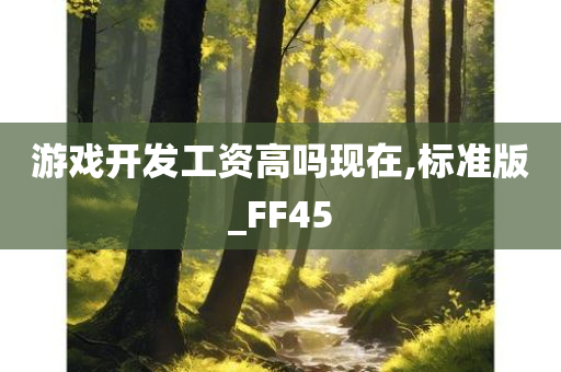 游戏开发工资高吗现在,标准版_FF45