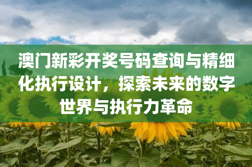 澳门新彩开奖号码查询与精细化执行设计，探索未来的数字世界与执行力革命