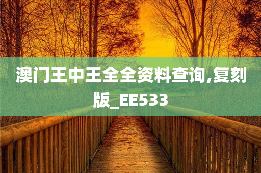 澳门王中王全全资料查询,复刻版_EE533