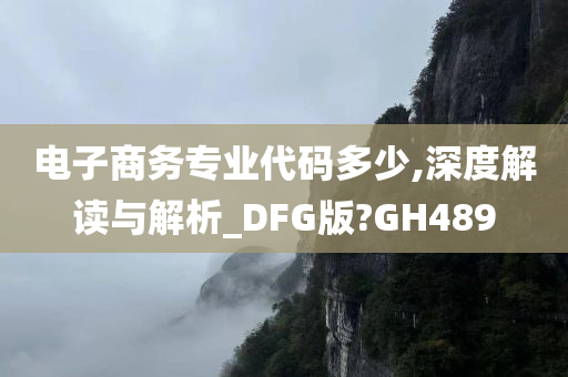 电子商务专业代码多少,深度解读与解析_DFG版?GH489