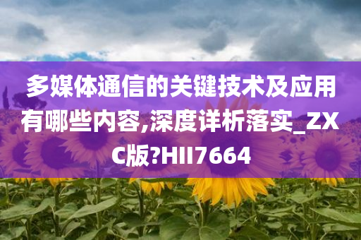 多媒体通信的关键技术及应用有哪些内容,深度详析落实_ZXC版?HII7664