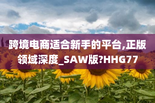 跨境电商适合新手的平台,正版领域深度_SAW版?HHG77