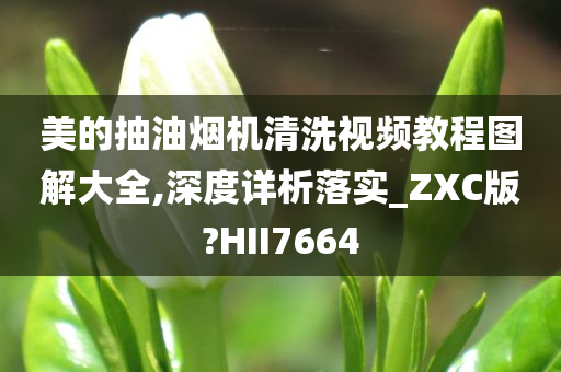 美的抽油烟机清洗视频教程图解大全,深度详析落实_ZXC版?HII7664