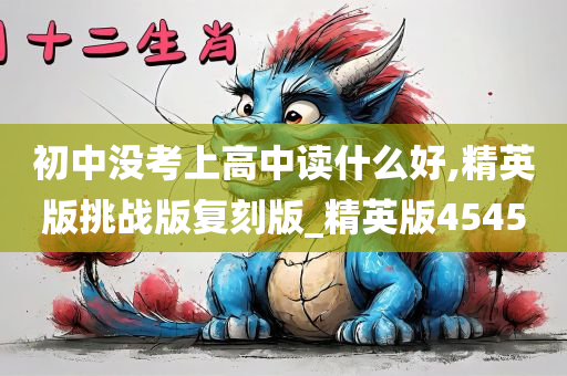 初中没考上高中读什么好,精英版挑战版复刻版_精英版4545