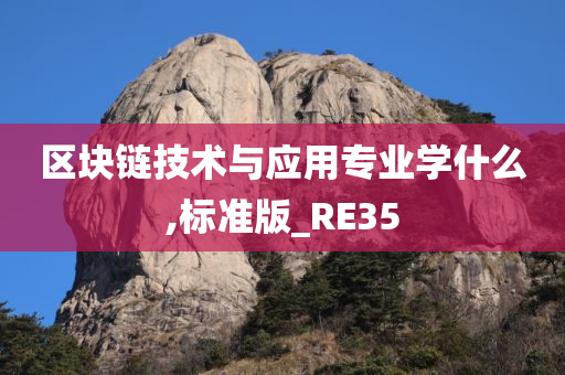 区块链技术与应用专业学什么,标准版_RE35