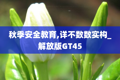 秋季安全教育,详不数数实构_解放版GT45