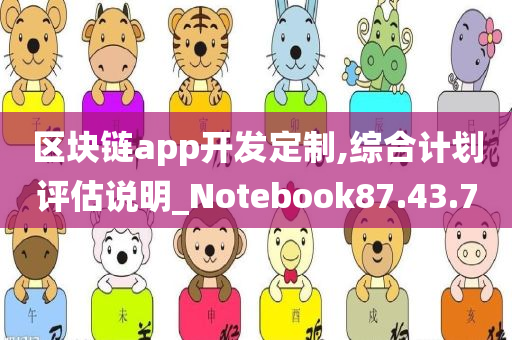 区块链app开发定制,综合计划评估说明_Notebook87.43.70