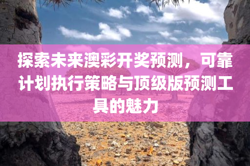 探索未来澳彩开奖预测，可靠计划执行策略与顶级版预测工具的魅力