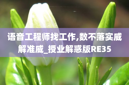 语音工程师找工作,数不落实威解准威_授业解惑版RE35