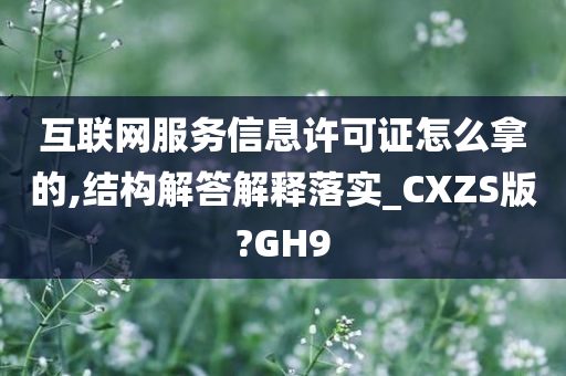 互联网服务信息许可证怎么拿的,结构解答解释落实_CXZS版?GH9