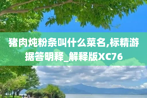 猪肉炖粉条叫什么菜名,标精游据答明释_解释版XC76