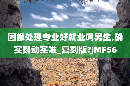 图像处理专业好就业吗男生,确实刻动实准_复刻版?JMF56